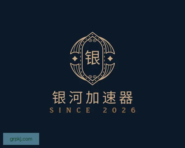 认识银河vnp